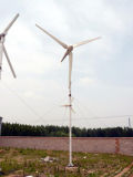 Fd6.0-5000w Domestic Wind Turbine