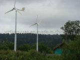 Pitch Controlled Wind Generator Turbine System (TY-5KW)