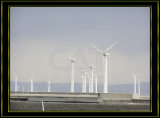 50kw Wind Turbine System (CAT-50KW)
