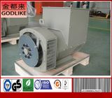 48 Kw Three Phase High Efficiency Diesel Alternator