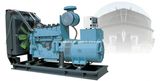 Gas Generator Set (NPDYR)