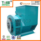 Tops Stf Series Brushless AC Generator Power (STF)