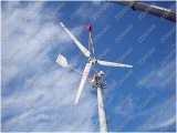 Super Horizontal Axis 10kw Wind Turbine Genrator (ZH)