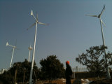 Wind Generator for Base Station