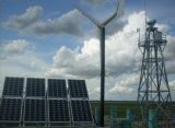 10kw 15kw Solar Wind Power Hybrid System,10kw off Grid Solar Wind Power System