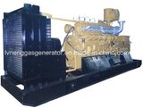 Electric Power Natural Gas Generator Price