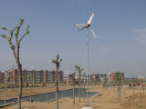 Wind Turbine (FD2.6--600W)