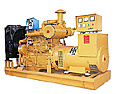 Shanghai Generator Set