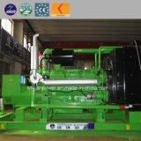 CE ISO Approve Power Biogas Generator Price