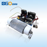 20g Ozone Generator Cell Parts, Ozone Water Generator, Ozone Purifier