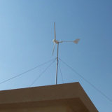 Low Noise 1000W Wind Power Generator for Home