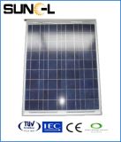 60W Poly Solar Panel Snm-60W (36)