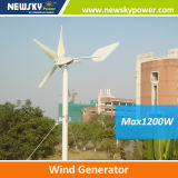 New Product 300W Wind Turbine