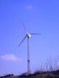Qingdao Minshen Wind Power Technology Co.,Ltd.