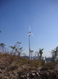 Ane 10kw on Grid Type Pitch Controlled Small Wind Power Generator