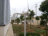 Independent Wind Energy Generator for Residential 600W (100W-20kw)