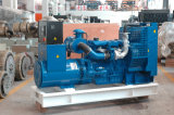 Generator Powered By Lovol Engine (FLG26)