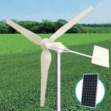 1000W Wind &Solar Turbine Generator