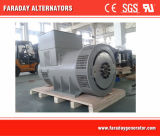 China Alternator 220V for Generating in Countryside Area