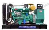 China Manufactured Directly Sale Weifang Generator (10KW-300KW)