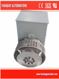 50/60Hz Generators Alternator Warranted for 24 Months Magnet Generator (60Hz) Wuxi Faraday Alternators Fd2b