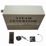 Small Sauna Steam Box (TR001-H)