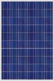 TUV/CE/Iec Certificated 220W Poly Solar Panel/Solar Module
