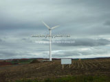 50kw Wind Turbine Generator With Free Stand Tower Pole