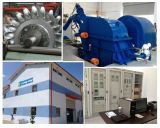Pelton Turbine/ Hydro Turbine Generator Unit/ Water Turbine Generator Unit/ Power Plant