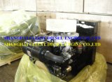 Lovol 1004 4tc Diesel Engine (1004 4tc)