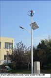 300W Vertical Wind Turbine Generator with Solar Panel for Street Light