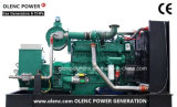 20kVA - 1250kVA Biogas Generator with Cummins Engine Stamford Alternator
