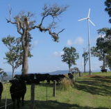 Free Energy Power 3000W Wind Turbine Generator System