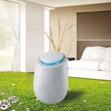 Negative Ions and Ozone Air Purifier with Carbon Filter (T02C)