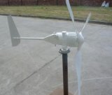 Wind Turbine 300W