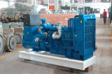 Diesel Generator Powered by Lovol Engine (FLG88)