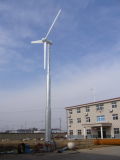 1000W Wind Generator (HZ-0803)