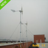 600W 24V High Quality Horizontal Factory Price Wind Power Generator
