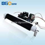 40g Ozone Generator Spare Parts with Ceramic Ozone Tube for Water and Air Treatment