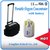 Mini Portable Oxygen Concentrator/Battery Operated Portable Oxygen Concentrator/Small Portalbe Oxygen Concentrator with Battery (JAY-1)