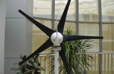 300W Wind Turbine/Wind Generator/Windmill (J-300H)