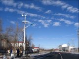 Wind Solar Complementary Street Lamp System