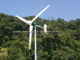 2000W Wind Power Generator