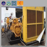 Lhbmg30 Biomass Generator with Silent Cummins Generator From China Factory