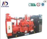 CE Approvable Natural Gas Generator/ Biogas Generator/ CNG Gas Generator (KDGH-G)