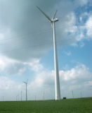 Wind Generater (FD8-10500)