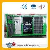 Natural Gas Powered Generators