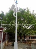 Vertical Axis Wind Generator with Street Light System (200W-5KW)