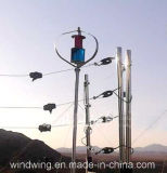 1000W Maglev Wind Generator with CE Certificate
