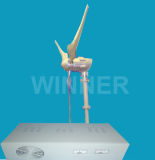 Wind Power System (MNS-1kW)
